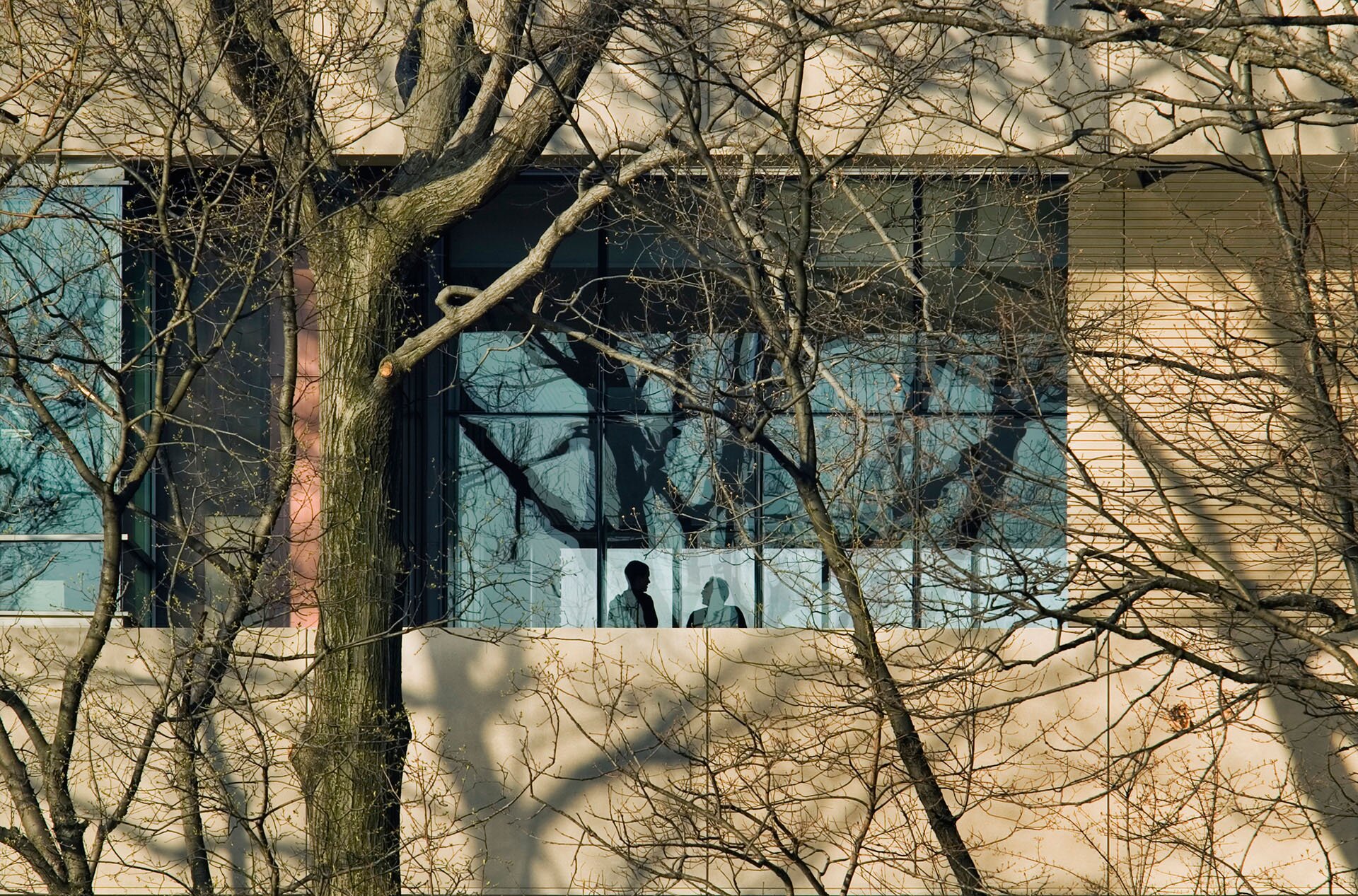 New York Botanic Garden/Pfizer Laboratory Bronx  New York Polshek Partnership Architects