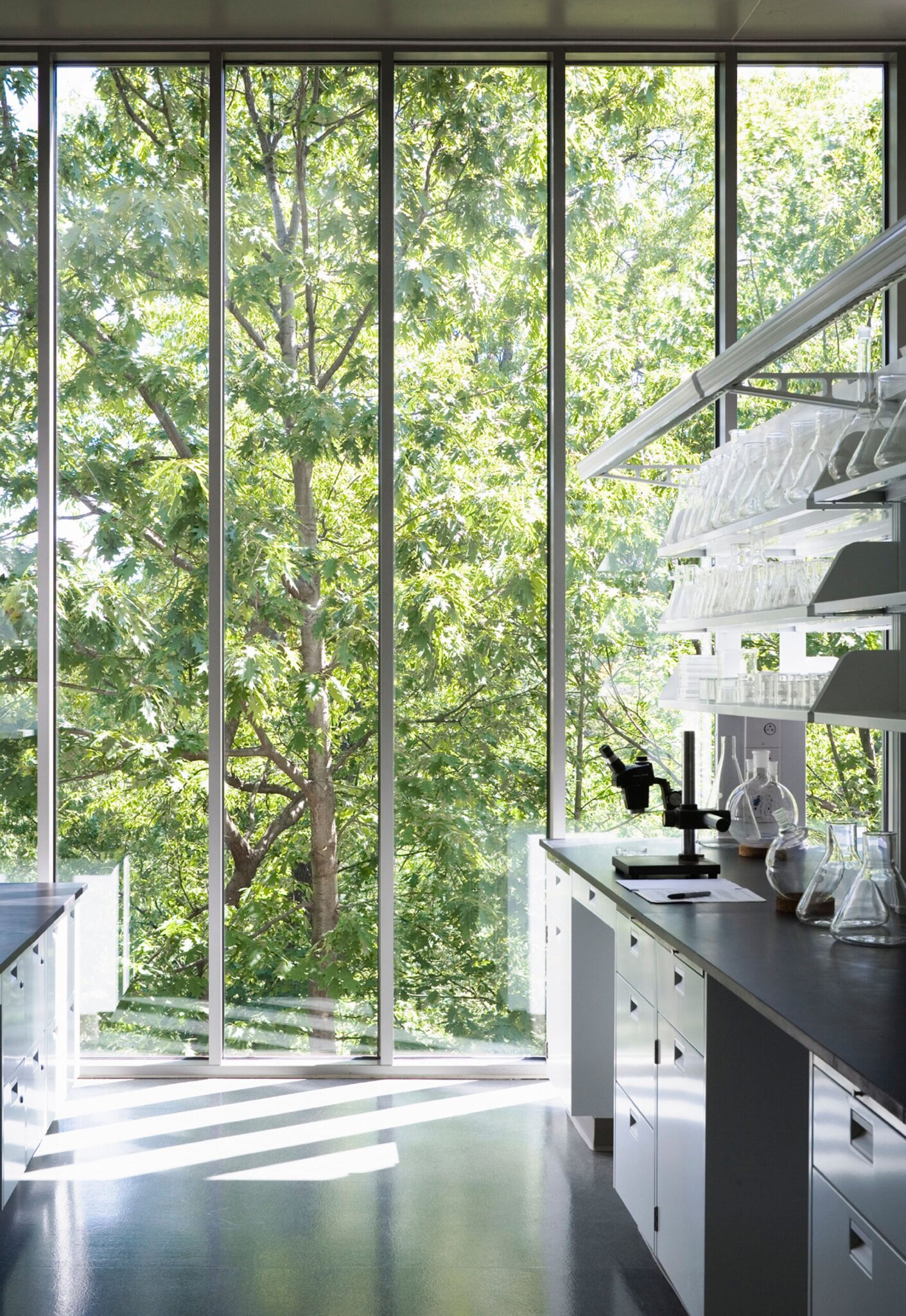 New York Botanic Garden/Pfizer Laboratory Bronx  New York Polshek Partnership Architects