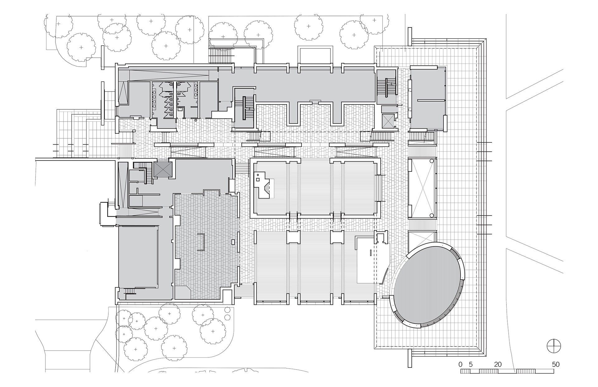 Williams-PLAN-L1
