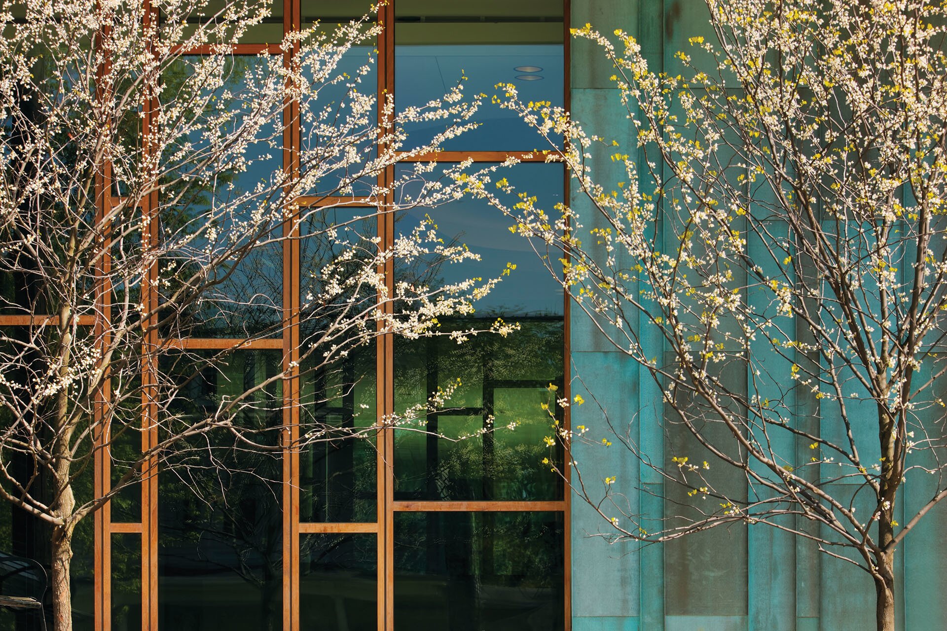 Penn State University, Dickinson School of Law, Location: Carlisle PA, Architect: Polshek Partnership