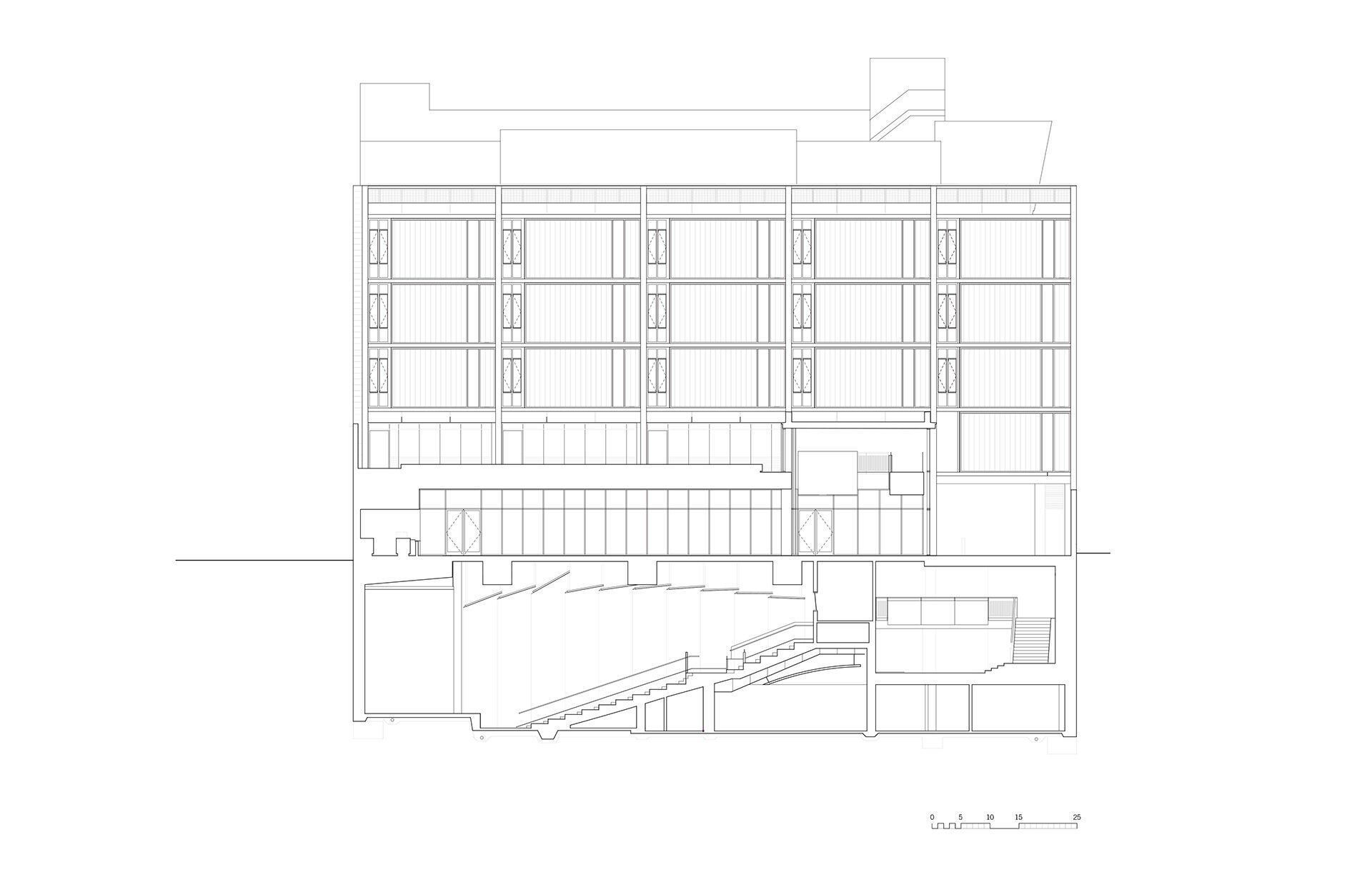 Lycee-SECTION