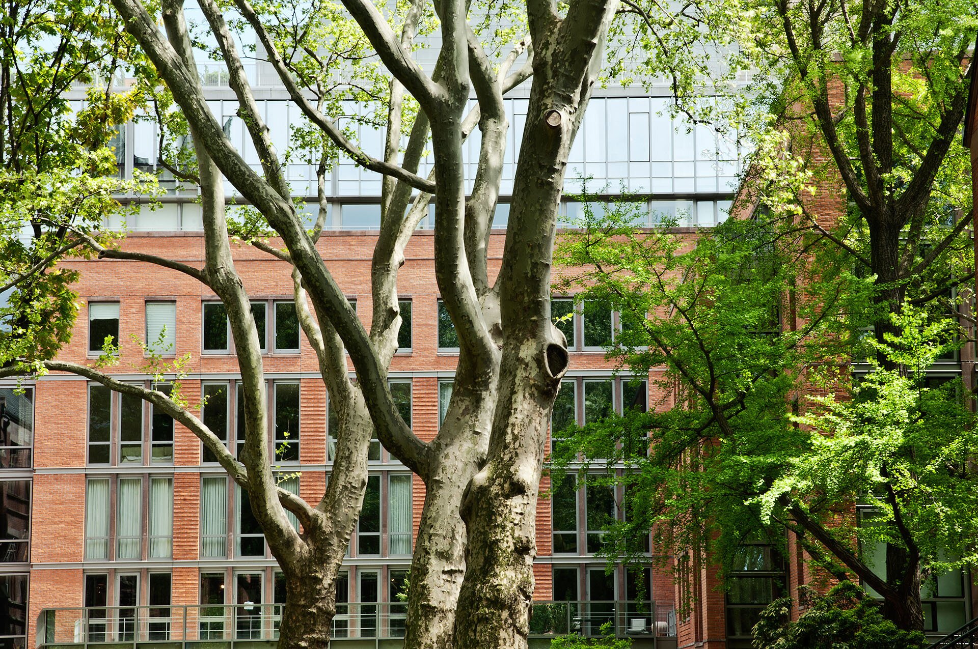 80 — Final Photography — Exterior;