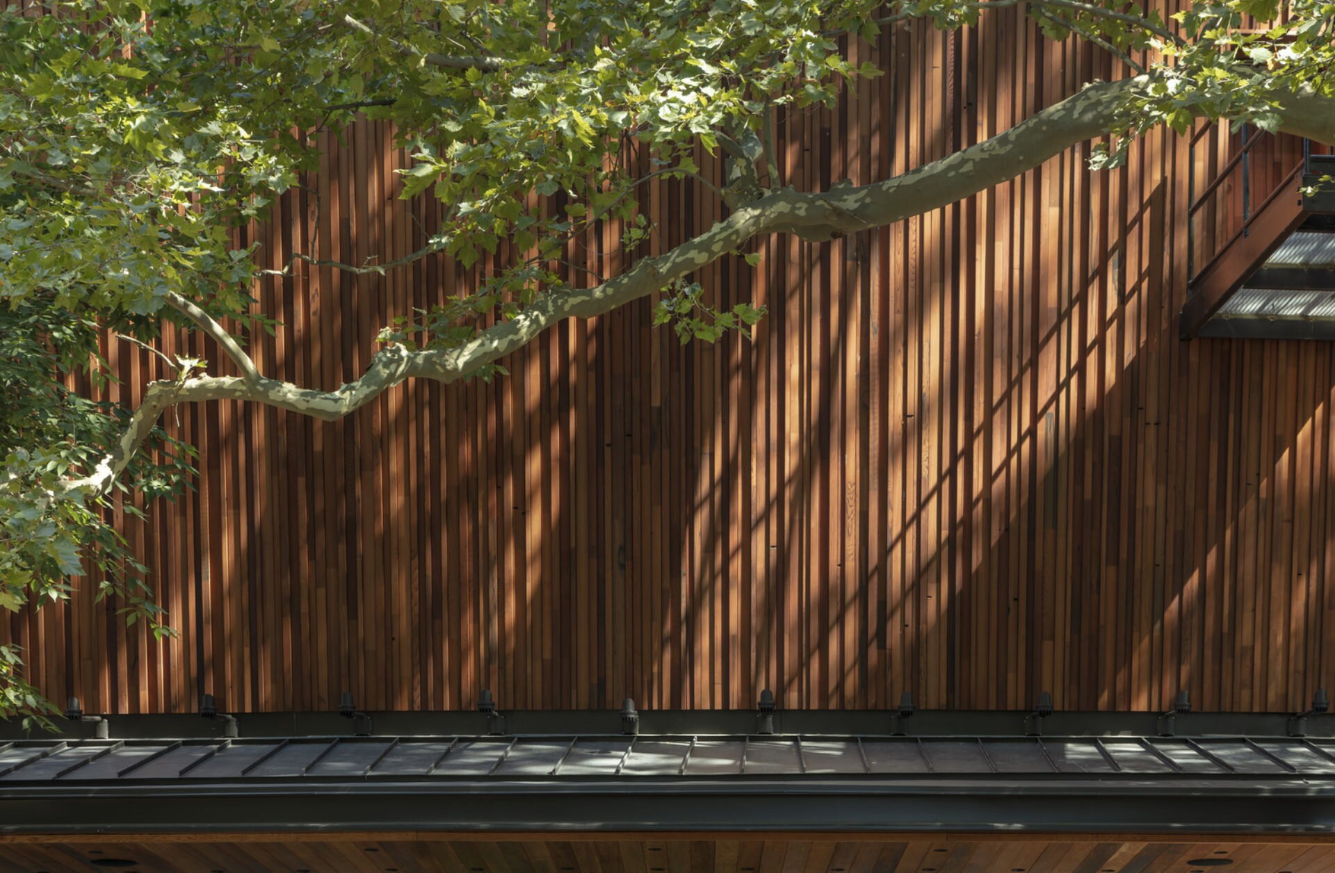 Ennead-2031-Public-Delacorte-01-FinalExtPhoto-0025_medium