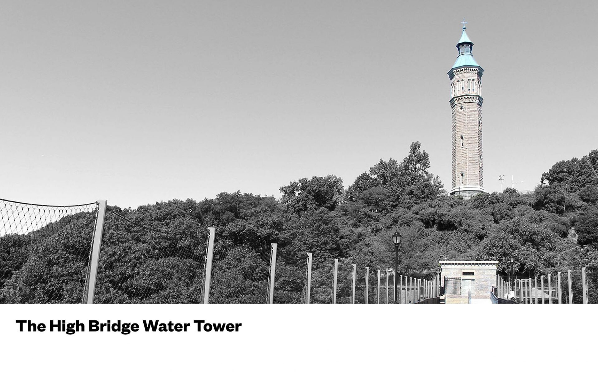 Waterline-Crop_7