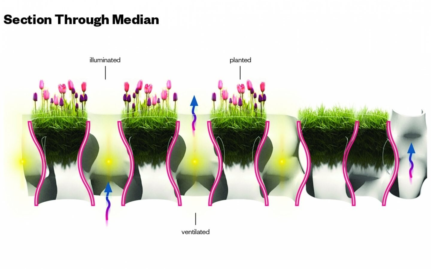 module-cropped-planting2